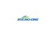 Microone Co., Ltd.