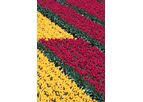 Perlite - Tailored Soilless Mix for Optimal Plant Growth