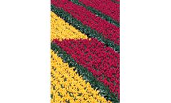 Perlite - Tailored Soilless Mix for Optimal Plant Growth
