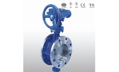 Wanli - Model API/ANSI - Flanged Butterfly Valve