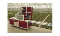 Model TVE - Tray and Boxfilling Machine