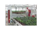 Potting Robot Machine