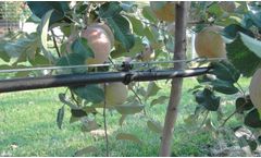 Drip Irrigation System