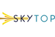 Skytop Strategies