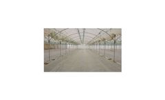 Solarization Films