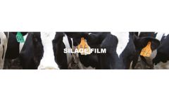 Silage Film