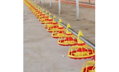 Osaint - Chicken Feeding System