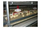 Broiler Cage / Floor