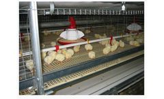 Broiler Cage / Floor