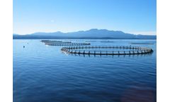 Mantec - Model CORALith - Ceramic Micro-Bubble Diffusers for Aquaculture