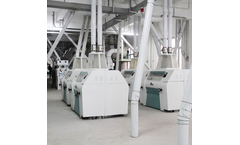 Win Tone - Model 30T/24 Hour - Maize Flour Milling Machine with Hammer Crusher