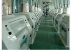 Model 250T/24H - Wheat Milling Plant