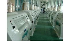 Model 250T/24H - Wheat Milling Plant