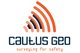Cautus Geo AS