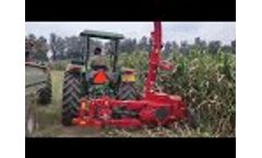 Maize Corn DMR 1250 Row Independent / Maize Silage Operation - Video