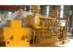 Chaiwei - Model CW-500GFT - Nature Gas Generator Set