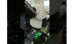 How to make Nikon E100 to fluorescence microscope? - Video