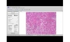 MSHOT scientific camera MSX2 H work with Olympus CX31 - Video