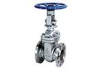 4Matic - Gate Valve