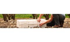 BioBee - Field Services