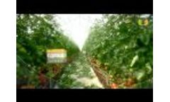 BioBee English 110809 Video