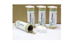 BasilProtect - Herbs Aphid Species Parasitoides