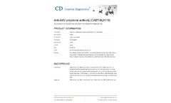 Anti-AMV - Model CABT-BL6119 - Polyclonal Antibody Virus  Brochure