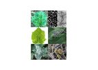 Creative Diagnostics - ELISA Plant Pathogen Kits