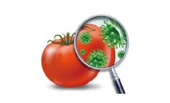 Creative Diagnostics - Food Safety Kits