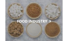 Conveyors and Bucket Elevator for Biomass for Food Industry