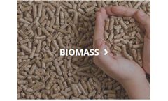 Conveyors and Bucket Elevator for Biomass