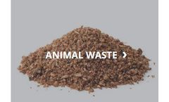 Conveyors and Bucket Elevator for Animal Waste