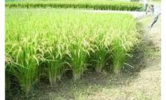 Environmental Balance Device (EBD) Technology for Agriculture