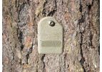 PiCUS - Model TreeMotion - Tree Wind Reaction Measurement Sensor