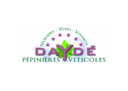 Wine Production Technology