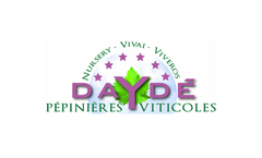 Wine Production Technology
