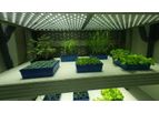 PSI - Model FS-WI - Walk-in FytoScope Plant Growth Chamber