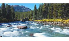 Xingyuan - Ecological Water Conservancy Solutions