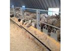 Diuk Arches - Durable Agricultural Steel Building