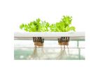Hydroponics Technology
