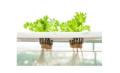 Hydroponics Technology