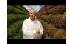 Pegasus Agriculture Farm Tour 4 Video