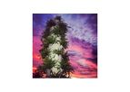Tower Garden - Aeroponic Technology
