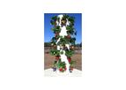 Residential Vertical Gardening