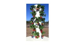 Residential Vertical Gardening