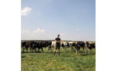 Herd Analysis Services