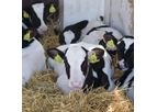 VikingGenetics - Model X-Vik and Y-Vik - Sexed Semen Technology