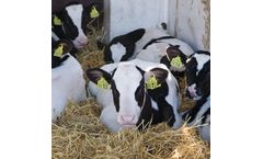 VikingGenetics - Model X-Vik and Y-Vik - Sexed Semen Technology