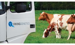 VikingGenetics - Livestock Services