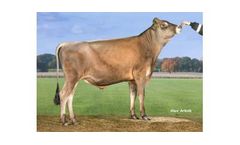 VJ Quintana - Model 304301 - Genetics DNA